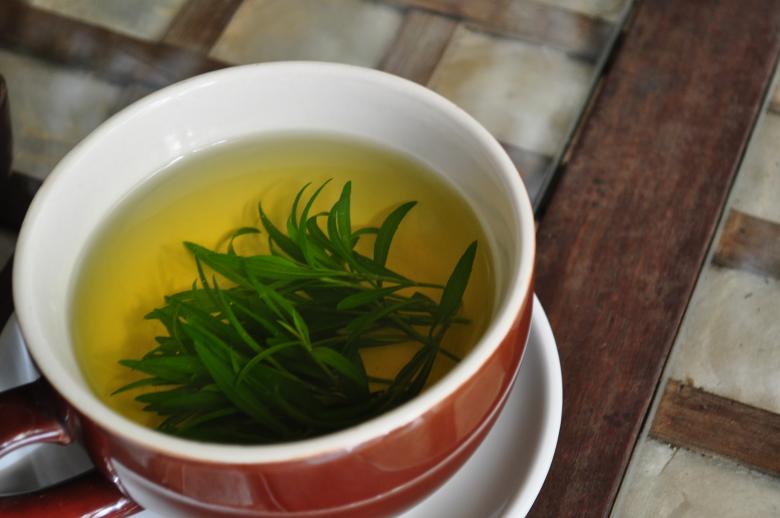 Free stock image of Tarragon tea time created by Eduardo Cleofe