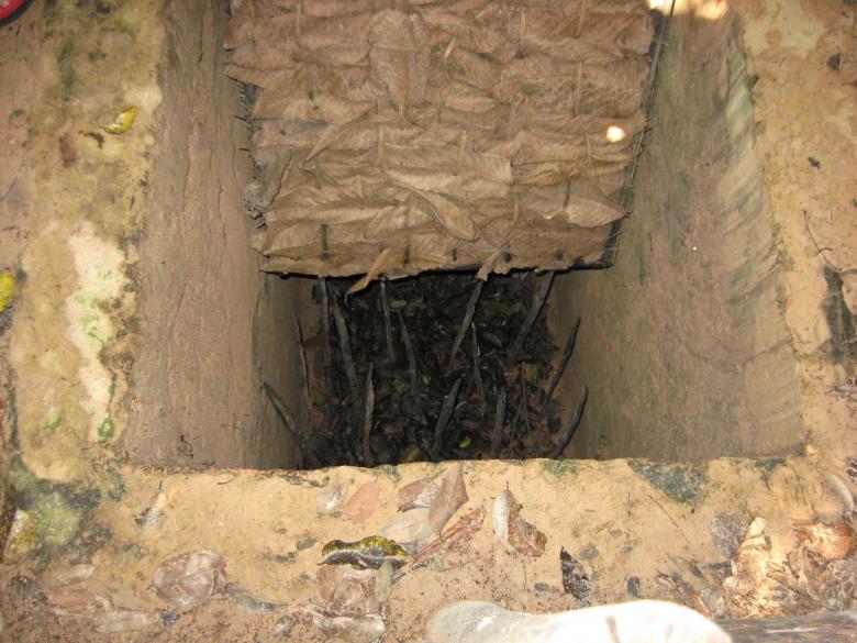 Free stock image of Cu Chi Tunnel 4 created by Bao Tam