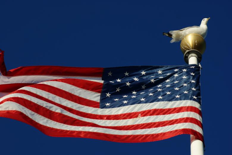 Free stock image of Seagull On Flagpole created by Brian Norcross