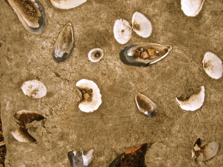 Free stock image of Stuck in concrete created by Trent Ellingsen