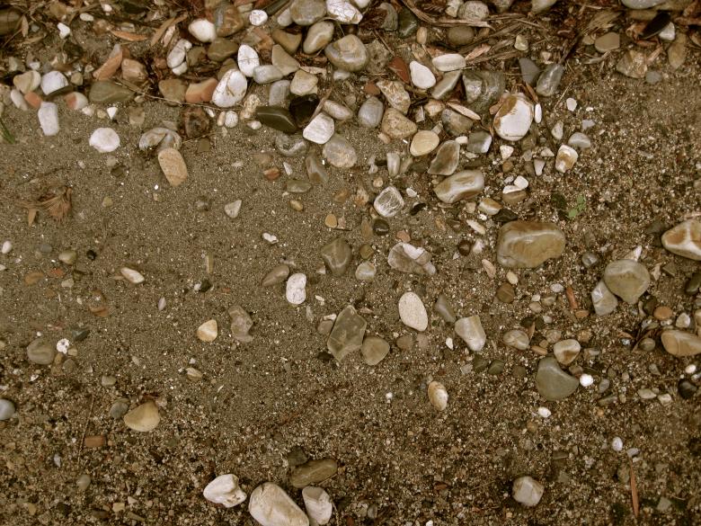 Free stock image of Shell Beach Texture created by Trent Ellingsen