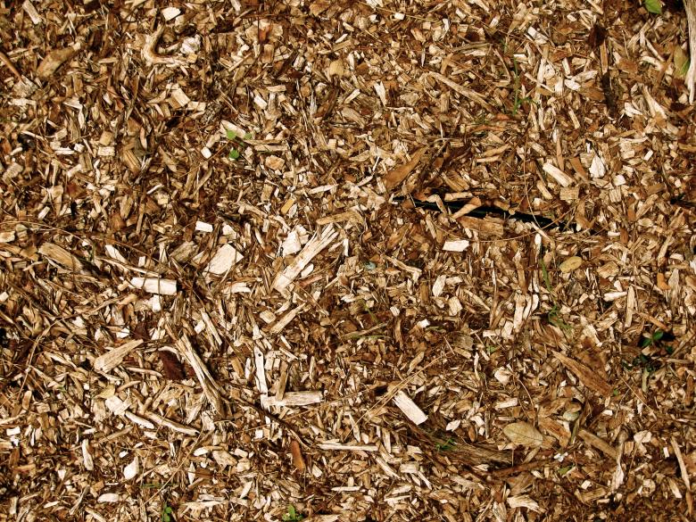 Free stock image of Ground Wood created by Trent Ellingsen
