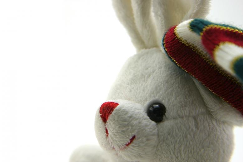 Free stock image of Adorable generic stuffed bunny created by homero chapa
