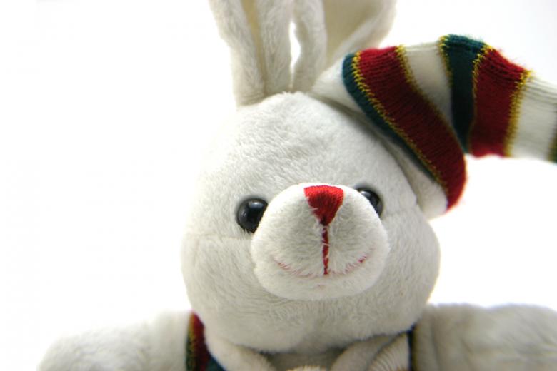 Free stock image of Adorable generic stuffed bunny created by homero chapa