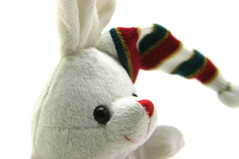 Free stock image of Adorable generic stuffed bunny created by homero chapa