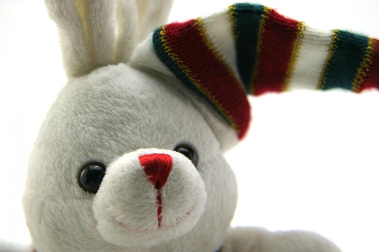 Free stock image of Adorable generic stuffed bunny created by homero chapa