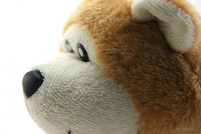 Free stock image of Classic teddy bear head created by homero chapa
