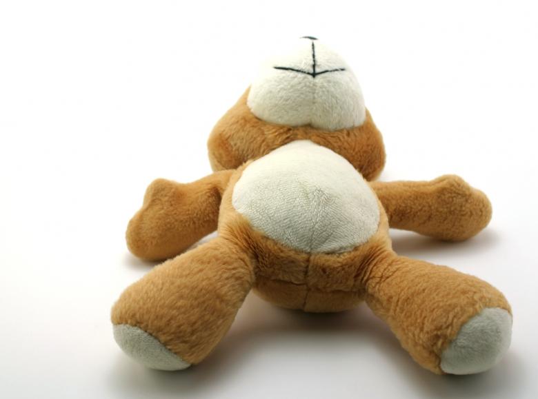 Free stock image of Classic teddy bear created by homero chapa