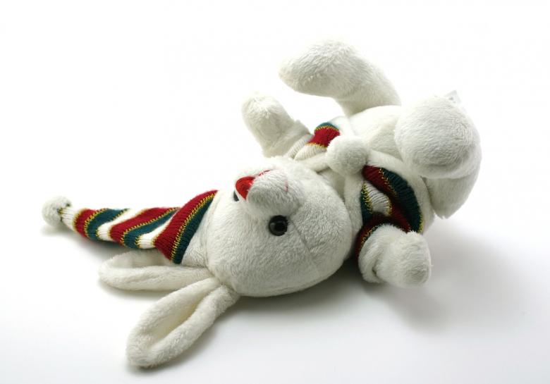 Free stock image of Adorable generic stuffed bunny created by homero chapa