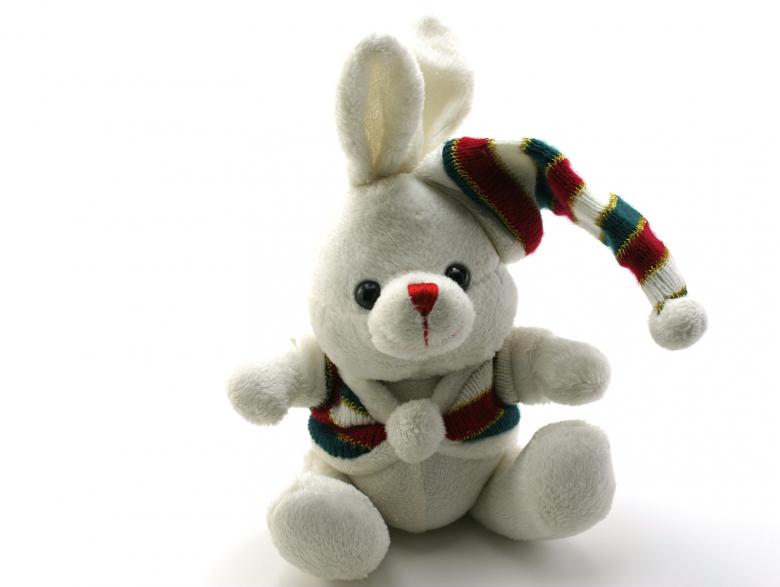Free stock image of Adorable generic stuffed bunny created by homero chapa