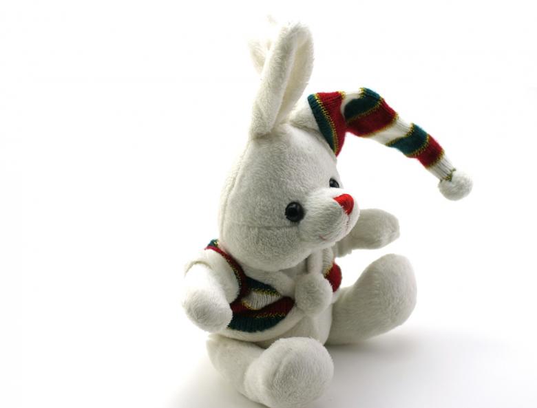 Free stock image of Adorable generic stuffed bunny created by homero chapa