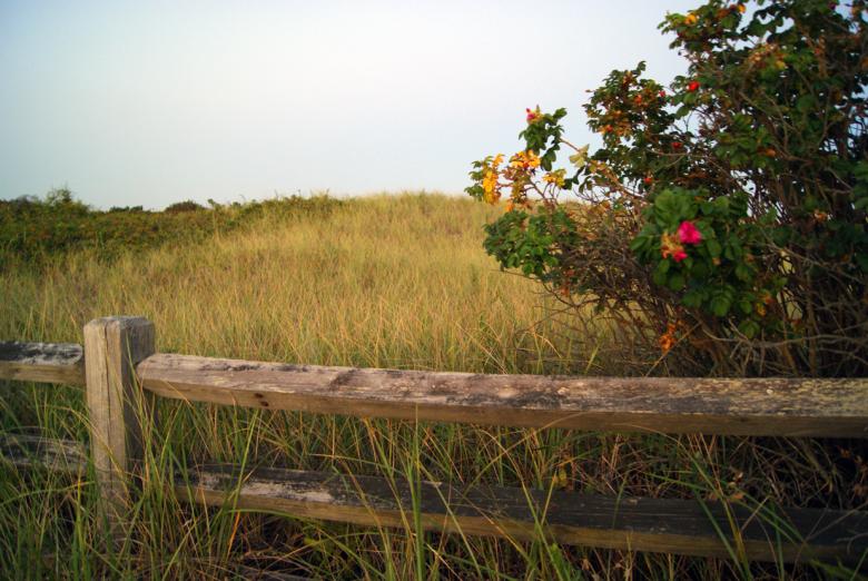 Free stock image of Coastal Field created by Brian Norcross