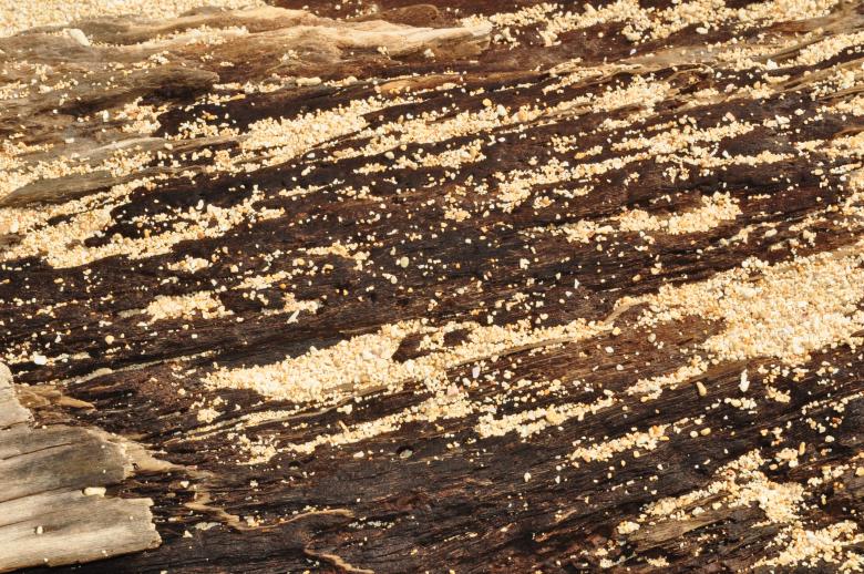 Free stock image of Wood and sand created by Eduardo Cleofe