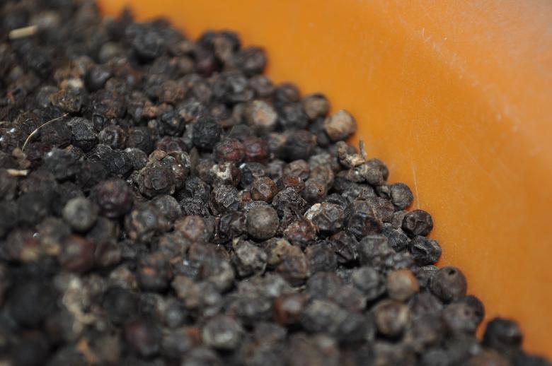 Free stock image of Black Pepper created by Eduardo Cleofe