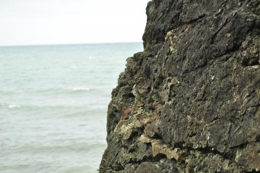 Rugged sea rocks - Free Stock Photo