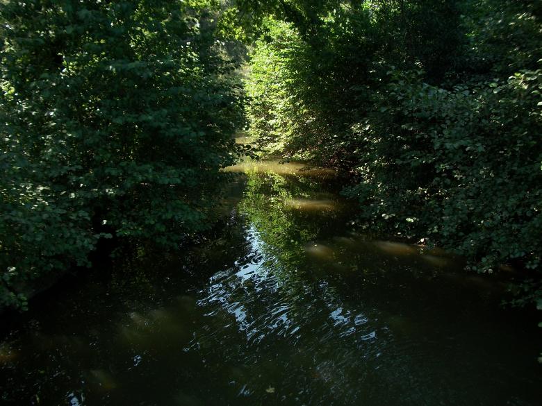 Free stock image of Water Path to the Light created by Christophe Valente de Paiva