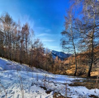 Winter View - Free Stock Photo