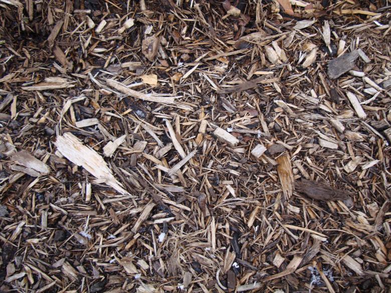 Free stock image of Woodchips created by Nathan Bierma