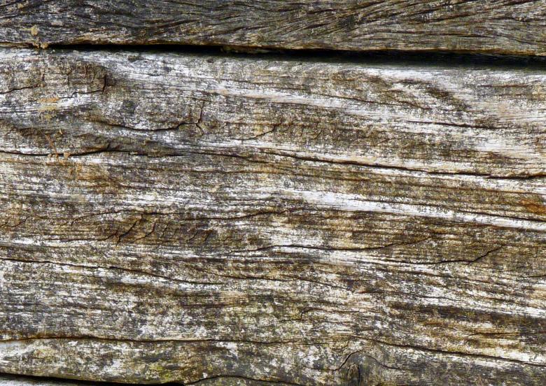 Free stock image of Wood Texture created by Kate Towers 