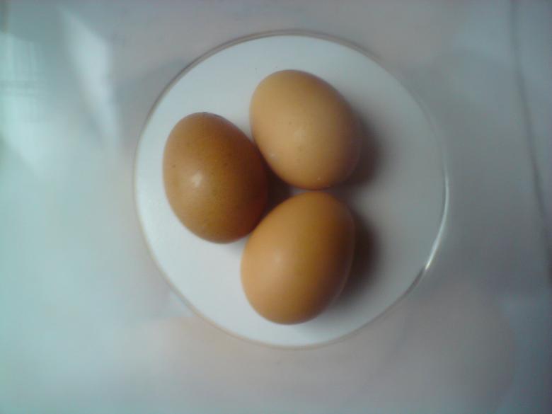 Free stock image of Eggs created by sutrisno