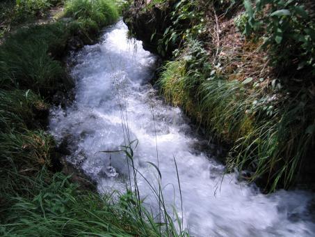 Stream - Free Stock Photo