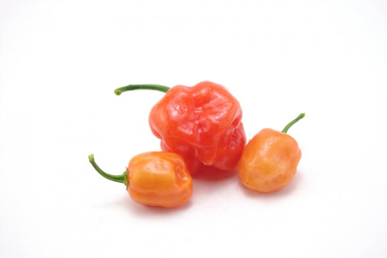 Free stock image of Hot habaneros created by homero chapa