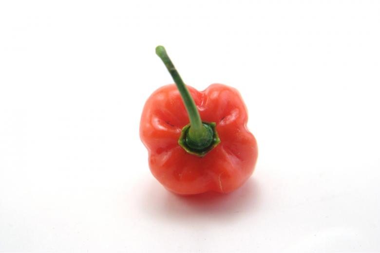 Free stock image of Hot habaneros created by homero chapa