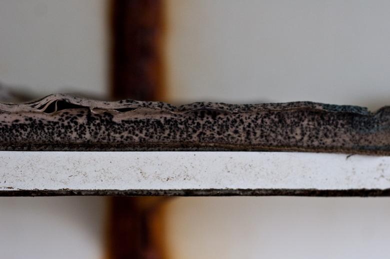 Free stock image of Old Rotten Paper created by Bjorgvin
