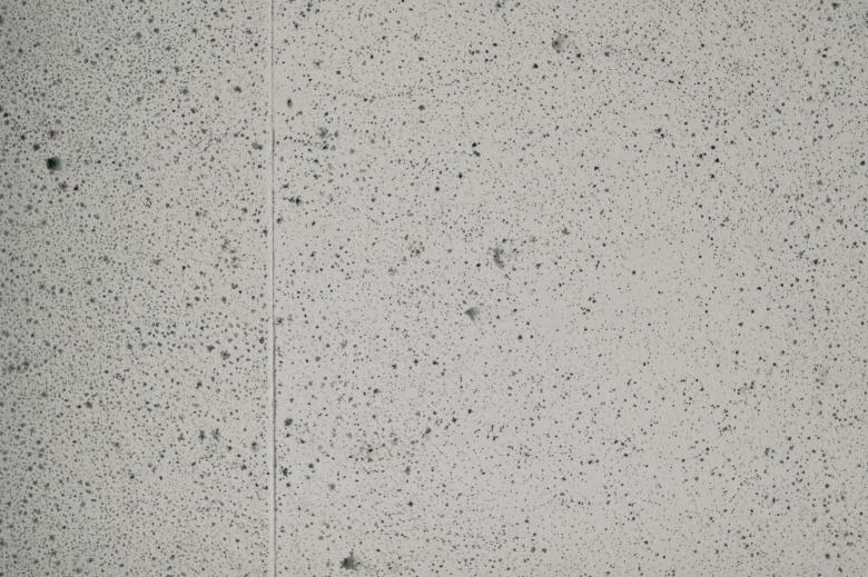 Free stock image of Grainy Wall Texture created by Bjorgvin
