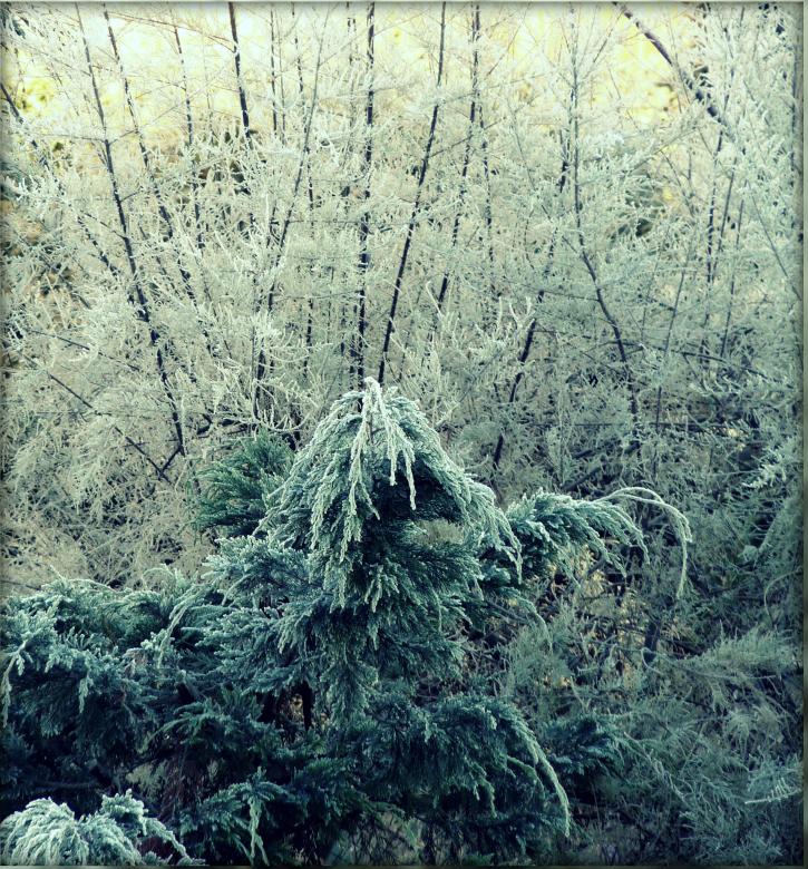 Free stock image of Winter  created by Kate Towers 