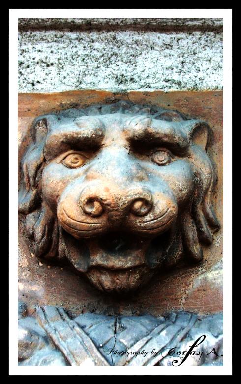 Free stock image of Lion created by Alin Cornel Cotfas