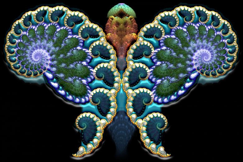 Free stock image of Fractal Butterfly created by Barbara Din