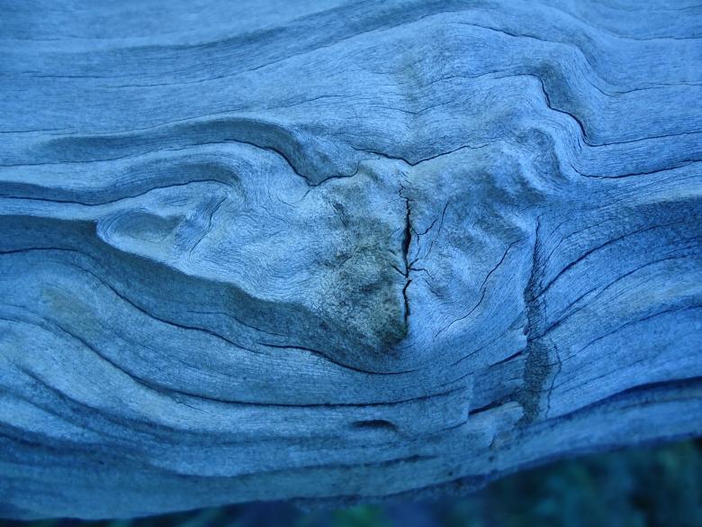 Free stock image of Blue Wood Texture created by João Gomes da Silva Brás