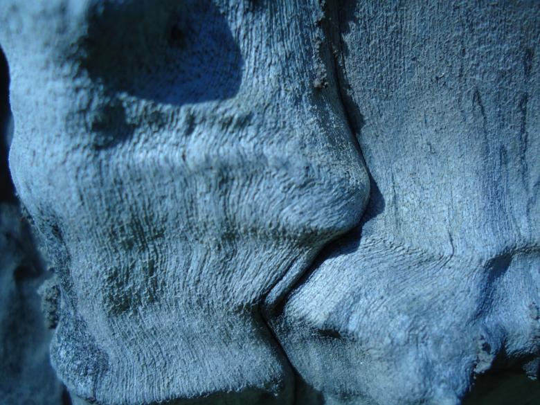 Free stock image of Kiss created by João Gomes da Silva Brás