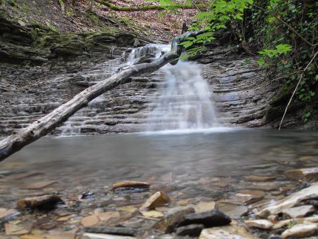 Waterfall - Free Stock Photo