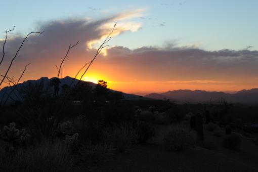 Free Stock Photo of Arizona Sunset