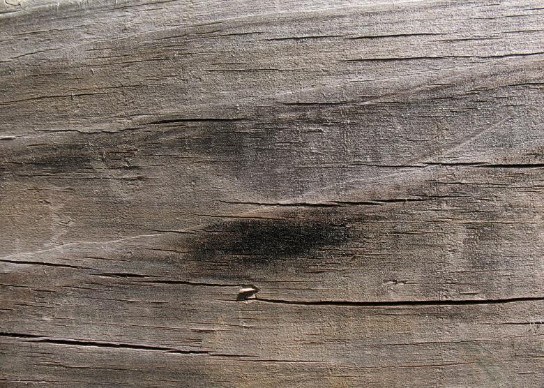 Free stock image of Wood Texture created by Free Texture Friday