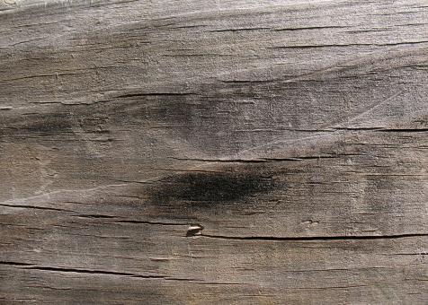 Free Stock Photo of Wood Texture