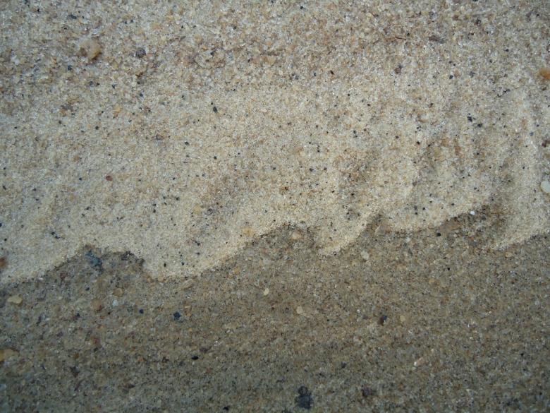 Free stock image of Mini dunas created by João Gomes da Silva Brás