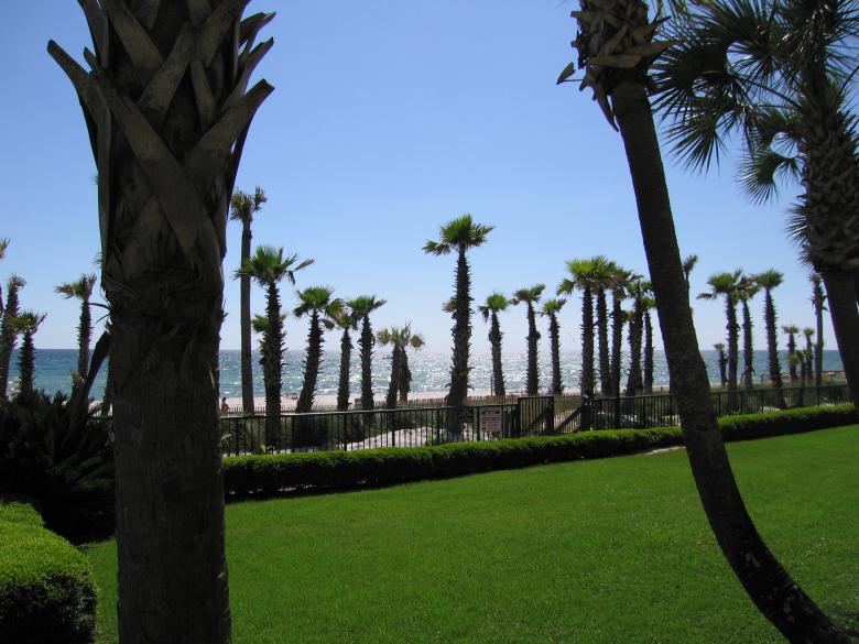 Free stock image of Palm Trees and Oceanfront created by Brandon Campbell