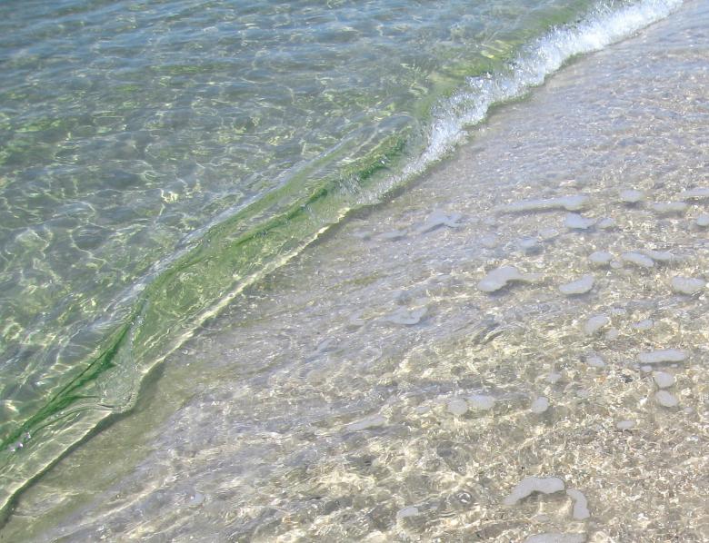 Free stock image of Receding Wave created by Brandon Campbell