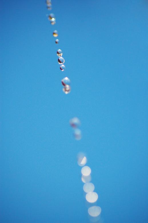 Free stock image of Water Drops Over Blue Sky created by Cofaru Alexandru