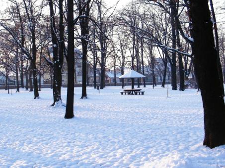 Park - Free Stock Photo