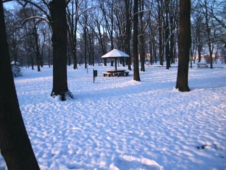 Park  - Free Stock Photo