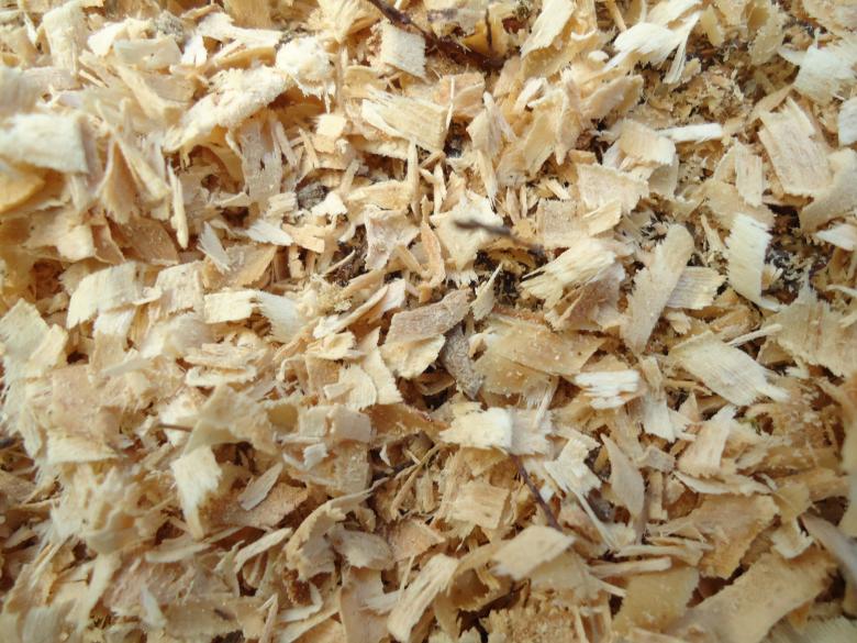 Free stock image of Saw Texture created by João Gomes da Silva Brás