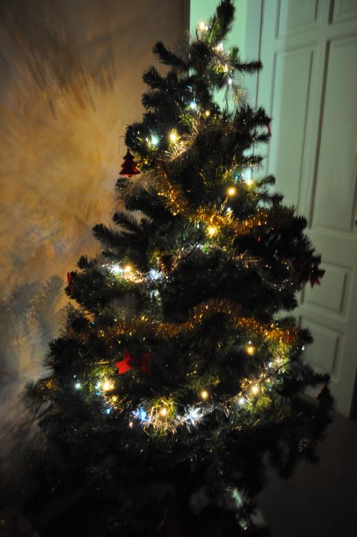 Free stock image of Christmas Tree created by Maryrose Roque