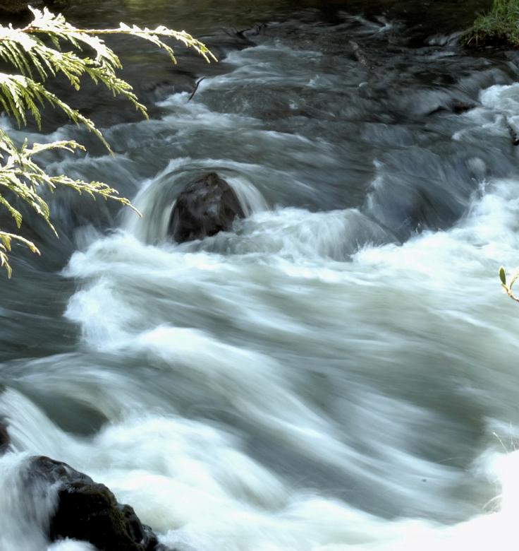 Free stock image of Tumwater Falls created by Ana Martin