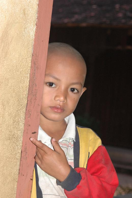 Free stock image of Future Monk created by Ana Martin
