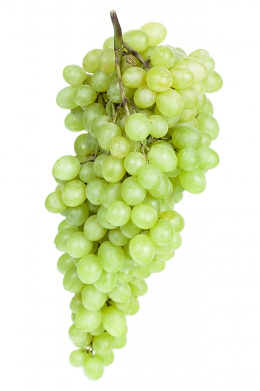 Free stock image of grape created by 2happy