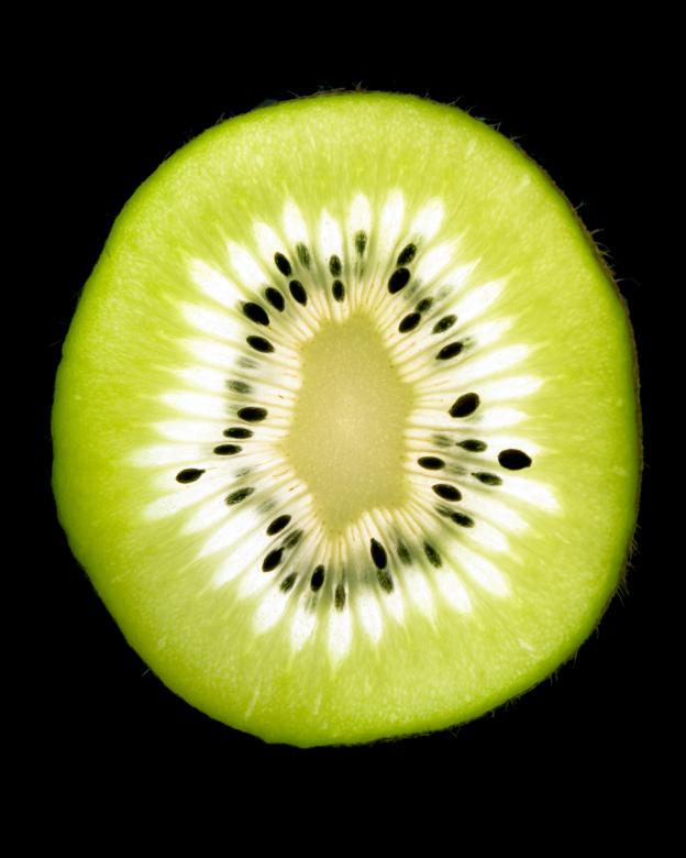 Free stock image of kiwi created by 2happy